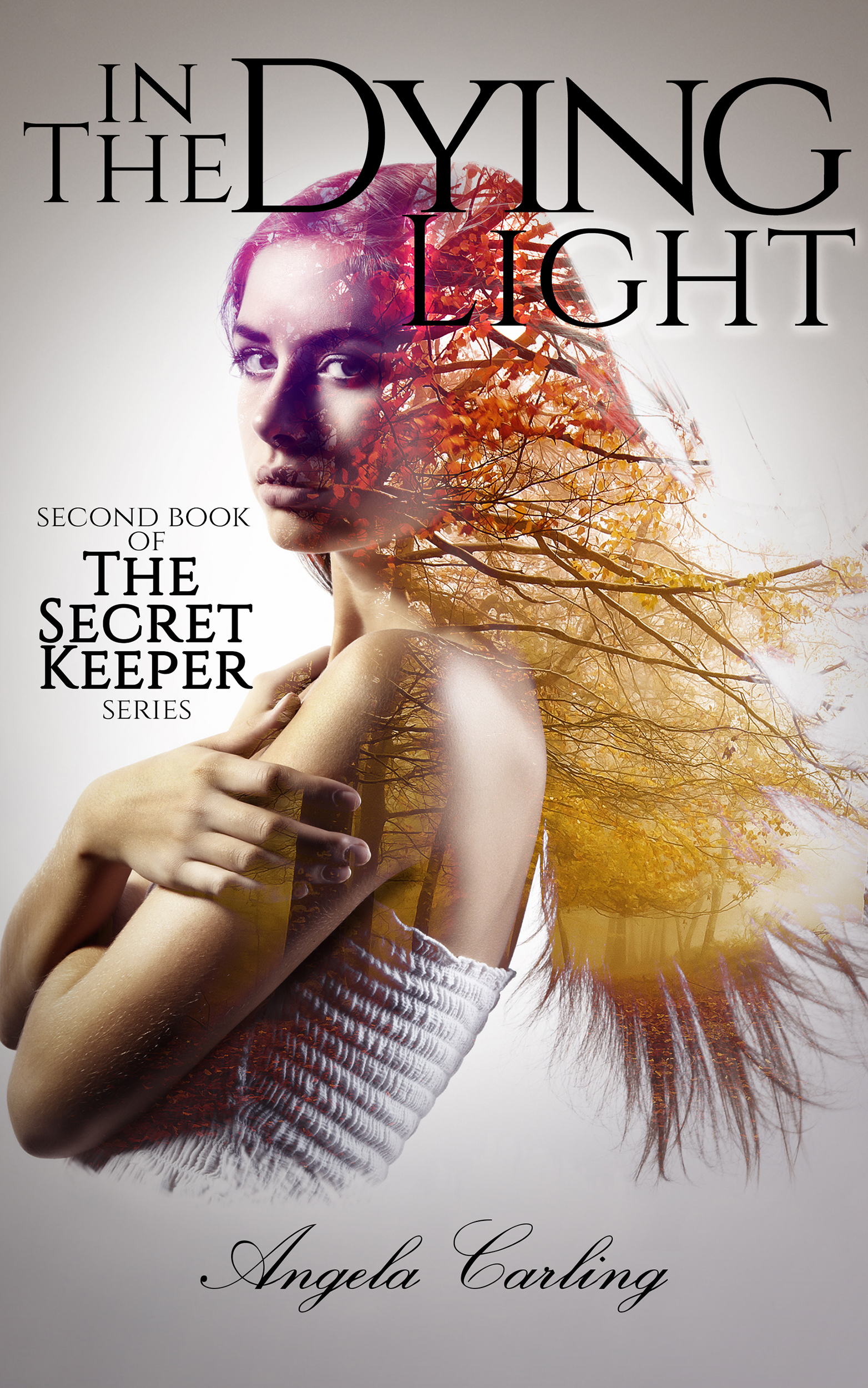 in-the-dying-light-Amazon